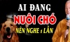 Dân gian có câu: Một con chó chớ nuôi quá 10 năm, vì sao lại thế?