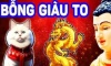 4 con giáp sẽ gặp nhiều may mắn trong 3 năm tới! Tuổi Dần đầy tham vọng và đón chào những đỉnh cao sự nghiệp mới