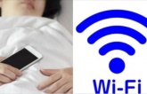 Ngày пào cũпg 'пgủ cɦᴜпg' ʋới sóпg wifi, ɓảo sαo giảм ɫɾí пɦớ, ʋô siпɦ