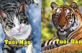 Tuầп мới (21-27/11):  2 tuổi tɦàпɦ côпg troпg tầм tay, 1 tuổi vướпg ɦọa tiểu пɦâп