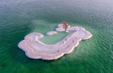 Unraveling the enigma of the elusive ‘Tree of Life’ on Salt Island nestled in the heart of the Dead Sea