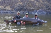 Record-Breaking Lake Sturgeon, Believed to be 125 Years Old, Caught in U.S. - Largest and Oldest Freshwater Fish Ever