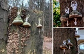 Revealing Nature's Enchantment: Breathtaking Artwork Fashioned by Tree Fungi