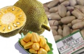 Hạt mít hay bị người Việt vứt bỏ thì ở Nhật bán 200.000/kg, hóa ra hạt mít có những công dụng tuyệt vời