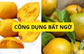 Trứng gà lê-ki-ma ở Việt Nam ít người dùng, rụng đầy gốc thì ở nước ngoài đang bán 1,5 triệu vì ngừa K tốt