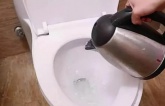 Nhân viên nói, nhận phòng khách sạn phải đun ngay nước sôi đổ vào toilet vì sao?