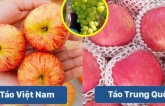 7 loại trái cây Trung Quốc nhập về Việt Nam nhiều nhất, chị em chú ý để trán mua nhầm