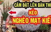 Có 3 thứ đặt trên bàn thờ khiến vận hạn kéo về, tài lộc ngày càng khánh kiệt