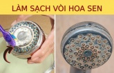 Vòi sen dùng lâu tích cặn bẩn, nước chảy yếu: Ngâm vào thứ nước này, chất bẩn tự bong, loại sạch vi khuẩn