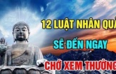 12 luật nhân quả sẽ đến ngay trước mắt đừng nên xem thường