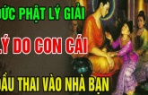 Vì sao đứa trẻ lại muốn đầu thai vào nhà bạn! Dù có con hay không bạn cũng nên đọc