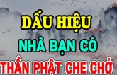 Người được Thần Phật che chở thường có 4 nét tướng này: Chỉ 1/4 cũng đáng chúc mừng