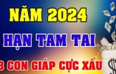 3 năm Tam Tai không bằng 1 năm Thái Tuế: 3 tuổi xung Thái Tuế năm 2024 đen đủ đường, cẩn thận trắng tay