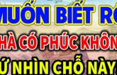 Gia đình có 4 đặc điểm này cho thấy phúc khí đang dần tích tụ, tài lộc ập đến nhà