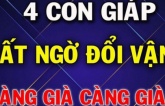 Phú quý đến muộn: 4 tuổi càng già càng giàu, tiền của tiêu thả ga không hết