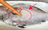 Rã đông cá không nên ngâm trong nước lã, thêm thứ này để cá nhanh mềm, ngọt thịt, không tanh