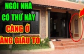 Trong nhà càng thiếu 3 thứ này càng tích tụ nhiều Phúc Lộc: Đời sau giàu hơn đời trước, đó là thứ gì?