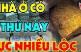 Nhà ai có 5 dấu hiệu này: Chúc mừng gia đình ở trong mảnh đất có kho báu phong thủy, cực giàu