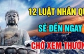 12 luật nhân quả sẽ đến ngay trước mắt đừng nên xem thường