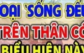 Người có 3 đặc điểm sau, hầu hết là người ”sống hai mặt”, tốt nhất đừng thân thiết