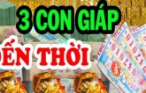 3 con giáp nói ít làm nhiều, đến lúc thành công mới biết họ là ai: Đứng đầu là Dậu