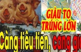 3 con giáp nhận phúc lớn trong 7 ngày tới, phất lên như diều gặp gió, vận may đỏ chót