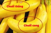 Chuối cong và chuối thẳng có sự khác biệt lớn: Người bán tiết lộ sự thật, biết để không mua nhầm