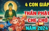 Phật độ trời thương: 4 tuổi giàu như vũ bão, 3 năm tới làm gì cũng thuận, giàu lên ú ụ