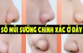 Ai có tướng mũi này tài lộc vây quanh, kiếm tiền quá dễ