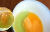 Thấy trứng có 5 dấu hiệu này tuyệt đối không mua kẻo 'tiền mất tật mang'