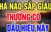 Trong nhà đột nhiên xuất hiện 4 điềm này: Chứng tỏ gia chủ được ăn lộc Tổ Tiên, may mắn liên tiếp