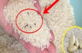 Thả thứ này vào thùng gạo không bao giờ lo mối mọt, gạo để bao lâu nấu vẫn dẻo ngon