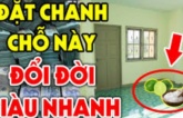 Đúng 0h đặt bát chanh muối đúng vị trí này, sau vài ngày bạn sẽ thấy điều bất ngờ xảy ra