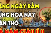 Chọn hoa cúng Rằm, 3, 5 hay 7 bông mới hút lộc: Đây là con số mang lại may mắn