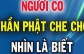 8 dấu hiệu cho thấy bạn được ”bề trên” che chở, nhìn qua đã thấy phước dày mệnh lớn