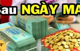 Ngày mai 11/9: 3 tuổi được Thần Tài sủng ái, không là tỷ phú cũng thành đại gia