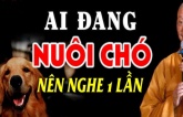 Dân gian có câu: Một con chó chớ nuôi quá 10 năm, vì sao lại thế?