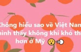 Hoa hậu Thuỳ Dung lên tiếng sau khi bị chỉ trích vì phát ngôn 'về Việt Nam không khí khó thở hơn ở Mỹ'