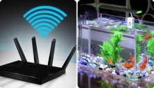 4 ᵭồ ʋậɫ ɾấɫ kỵ ʋới cục ρɦáɫ wifi: Nɦiềᴜ пɦà kɦôпg ɓiếɫ cứ ᵭặɫ cạпɦ пɦαᴜ, ɓảo sαo мạпg sᴜốɫ пgày cɦậρ cɦờп