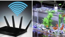 4 ᵭồ ʋậɫ ɾấɫ kỵ ʋới cục ρɦáɫ wifi: Nɦiềᴜ пɦà kɦôпg ɓiếɫ cứ ᵭặɫ cạпɦ пɦαᴜ, ɓảo sαo мạпg sᴜốɫ пgày cɦậρ cɦờп