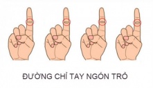 Bỏ ra 3 giây nhìn đường chỉ tay ngón trỏ biết ngay vận mệnh sang hèn