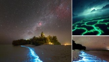 Enchanting Bioluminescent Beaches Around the Globe: Exploring the Mesmerizing Glow of these Mystical Shores