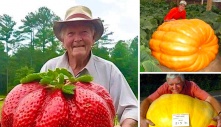 Unrecorded sizes of fruits and vegetables surprise viewers