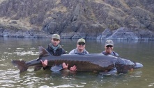 Record-Breaking Lake Sturgeon, Believed to be 125 Years Old, Caught in U.S. - Largest and Oldest Freshwater Fish Ever