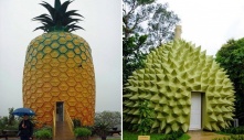 Discover the Fantastical World of Fruit-Inspired Homes: Unveiling the Enchanting Dwellings of Creativity