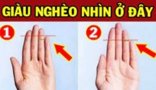 Đàn ông hay phụ nữ có 1 trong 4 dấu hiệu này ở ngón áp út, cuộc đời giàu sang sung túc hơn người