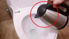 Nhân viên khách sạn mách: Đun nước sôi đổ vào toilet sau khi nhận phòng, bạn sẽ nhận được ưu đãi lớn