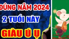 Thuận ý trời: 2 tuổi hết Tam Tai trúng số đổi đời giàu ú ụ trong năm 2024, mua nhà tậu xe