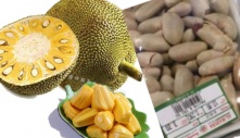 Hạt mít hay bị người Việt vứt bỏ thì ở Nhật bán 200.000/kg, hóa ra hạt mít có những công dụng tuyệt vời