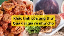 Quả dại mọc đầy ở Việt Nam là khắc tinh của ung thư lại cực giàu canxi bổ xương, chợ bán rẻ như cho